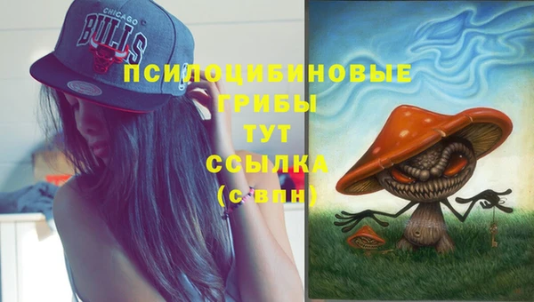 марки nbome Абаза