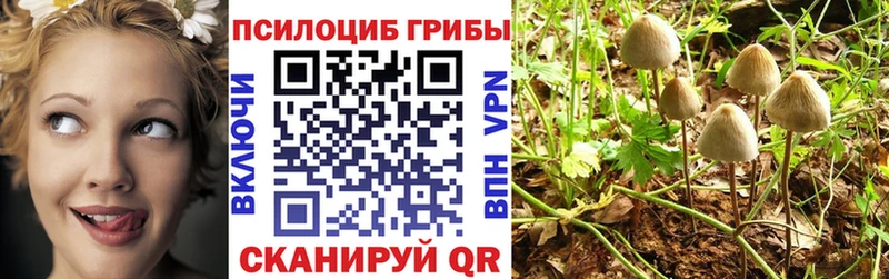 купить  сайты  Никольск  Псилоцибиновые грибы MAGIC MUSHROOMS 